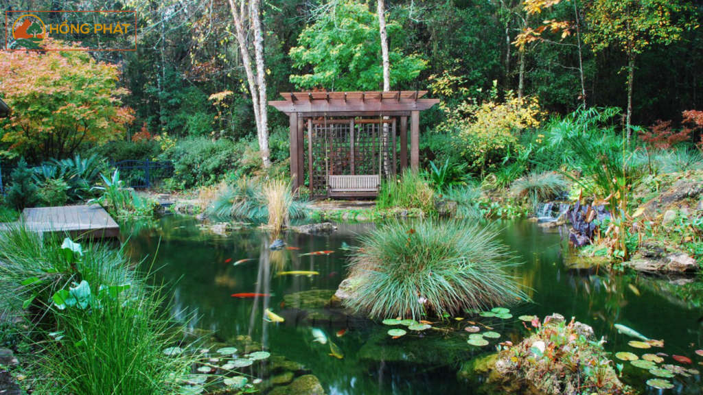 hồ cá koi sân vườn